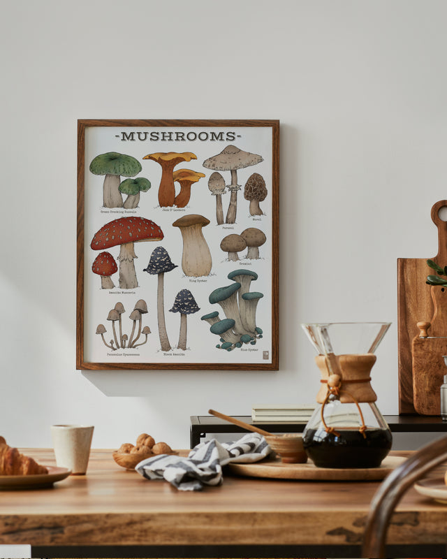 Mushrooms Fine Art Poster Prints